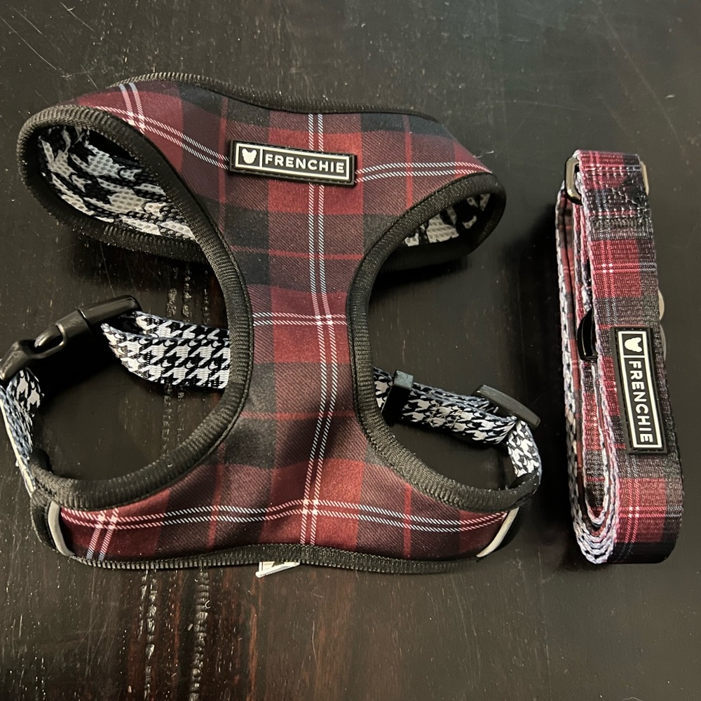 Brand new Frenchie harness and leash